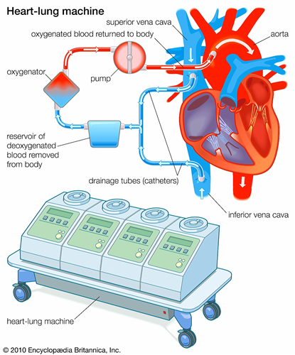 اي جزء من جهاز القلب والرئتين الصناعي يؤدي الوظيفه الرئيسيه للقلب