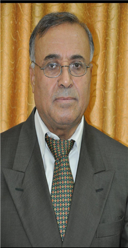الاستاذ الدكتور علي شاهين